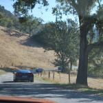 cambria2012_0161 (November 03, 2012)